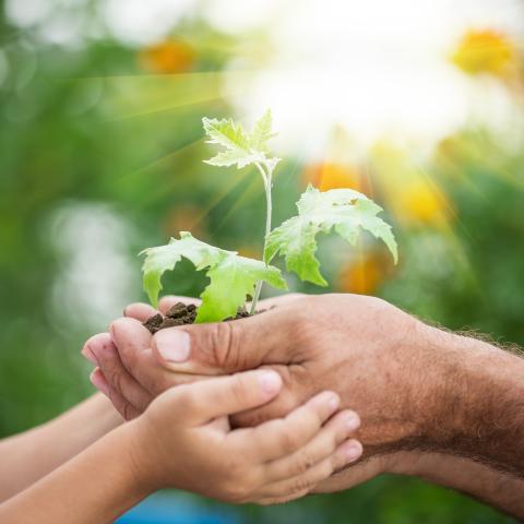 Spreco Zero, al via il progetto di Neutalia che porta i rifiuti sui banchi di scuola